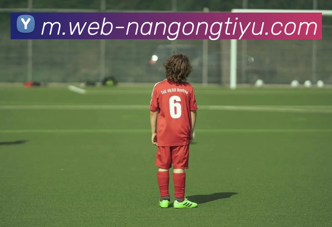 南宫体育发展历程